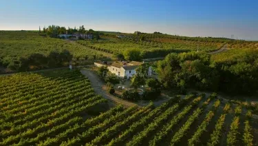 Finca Buytron