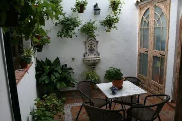 Zambra