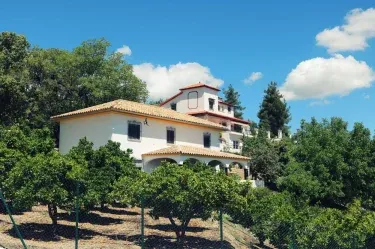 El Carmen