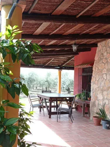 La Buganvilla