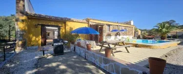 Experience Alpacas in Andalucia 