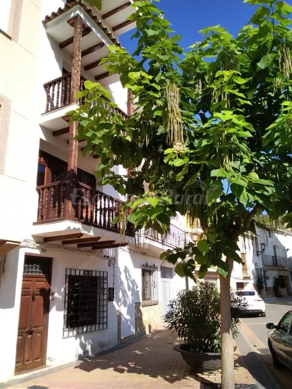 Casa Don Cesar