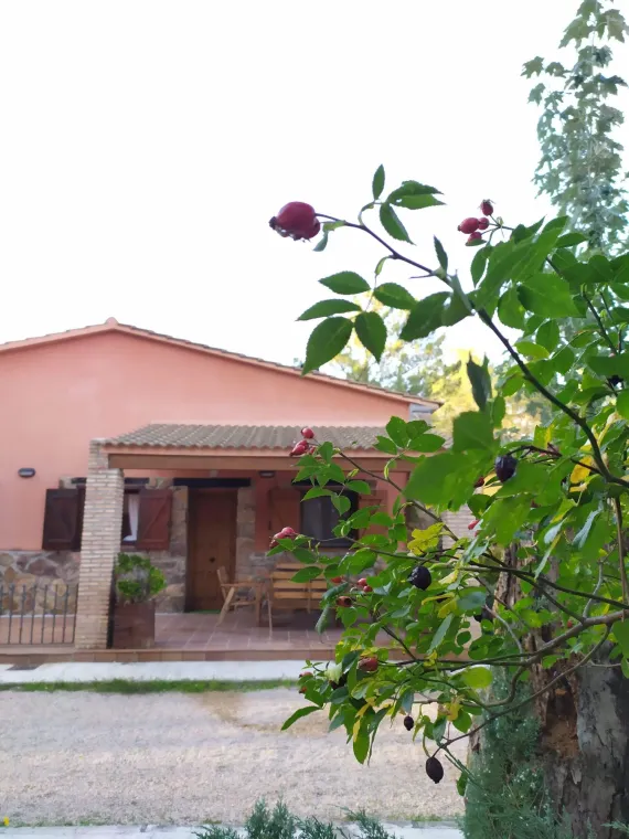 Cabaña 2