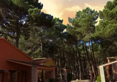 Cabaña 3
