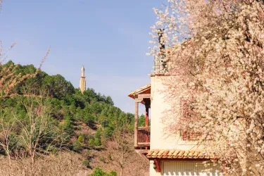 Casa Rural Mirabueno