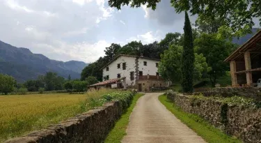 Mas Rubió 