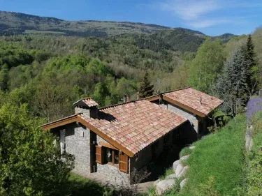 Les Pedres i Els Pins d'Abella