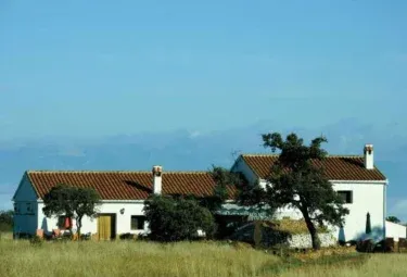 Cortijo Bacares I, II y III