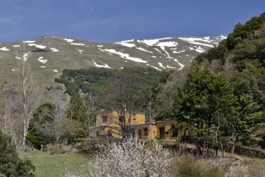 Cortijo El Cerezo 