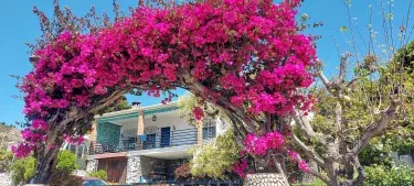 La BuganVilla