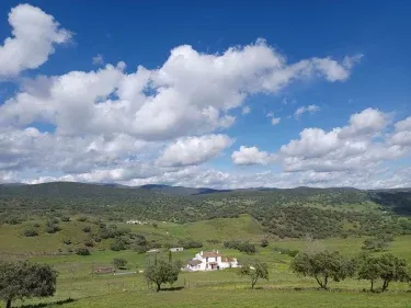 Cortijo los Bogonales