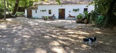 El Molino