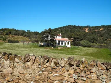Finca Coto Mina Concepción
