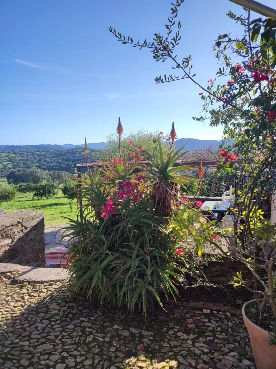 Casa El Rincón Rural