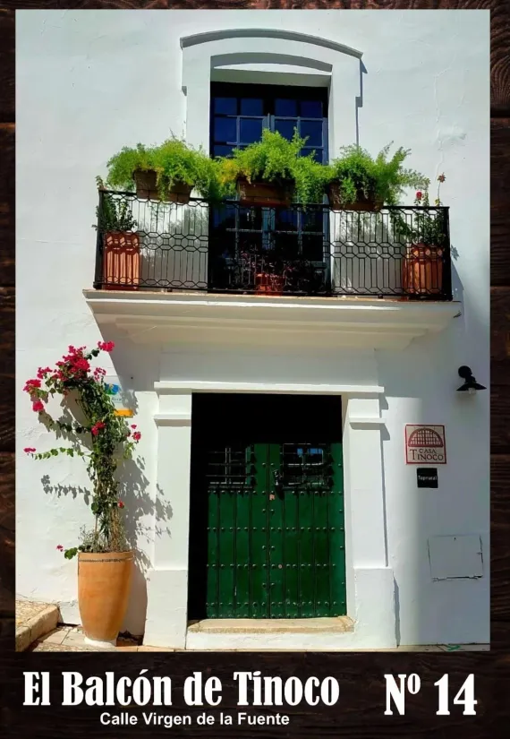 Casa Tinoco