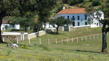 Finca Fuentibáñez