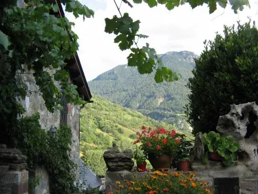Casa Miquel 