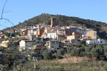 Casa Flor