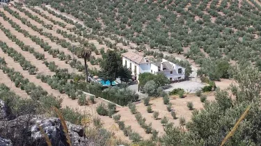 Cortijo El Serafín