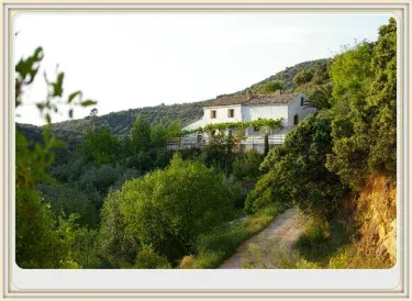 Finca Rústica La Pájara