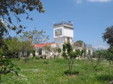 San José y Romero