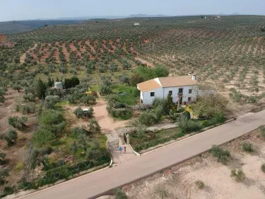 Alojamiento Rural Cortijo de la Aragonesa