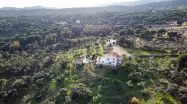 Dos Encinas