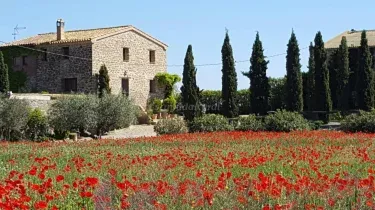 Masía Pedrolet