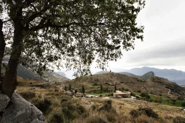 Cal Borda