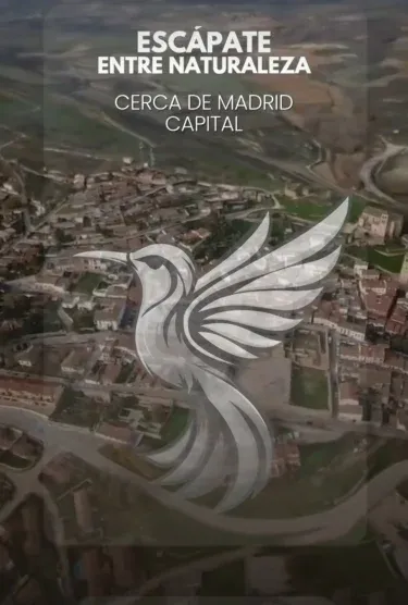 El Pájaro Loco