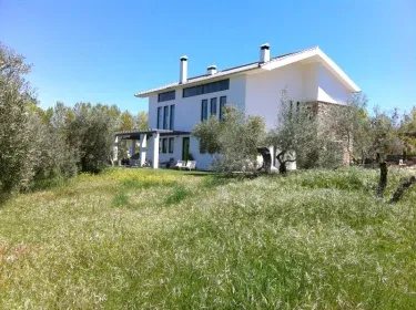El Toro Blanco