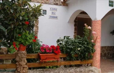 Casas El Zorro