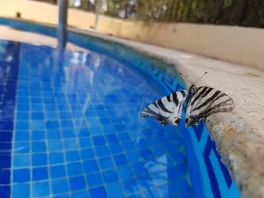 Hospedería La Mariposa