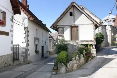 Pardix