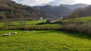 Alberroakoborda