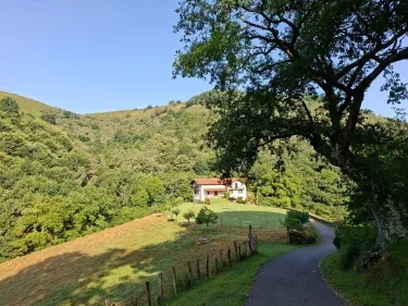 Ortxixenea