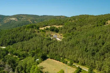 Agotzenea