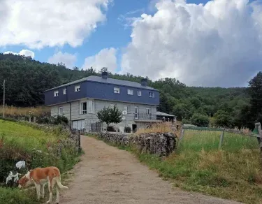 Vista Estrelada