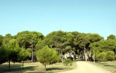 Casa Doncella D'Amour