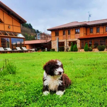 Casa Las Vacas