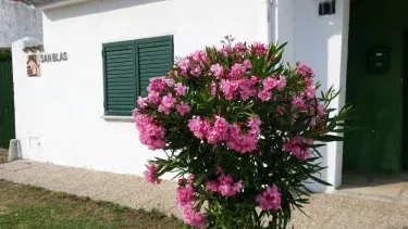 Casa Rural San Blas