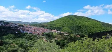 Ca tío Celso