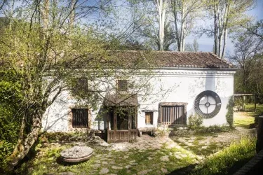 Molino del Feo