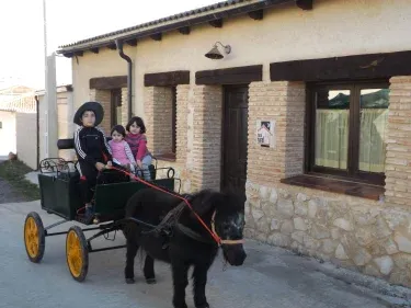 La Casa de los Pollos