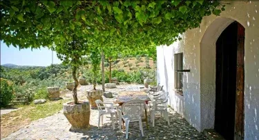 Finca Maripasa