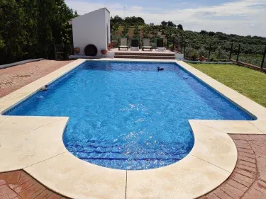Colladopino