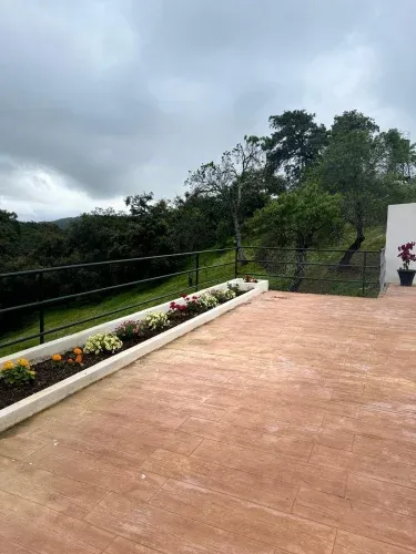 El Tilo