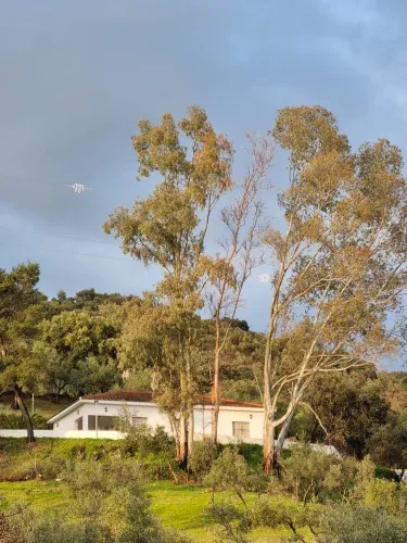 El Mirador de Nati