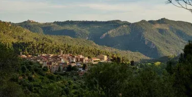 Casa Rural La Canal
