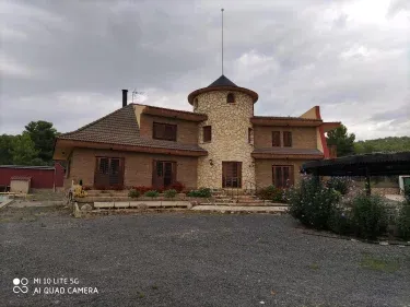 Más la Delfina